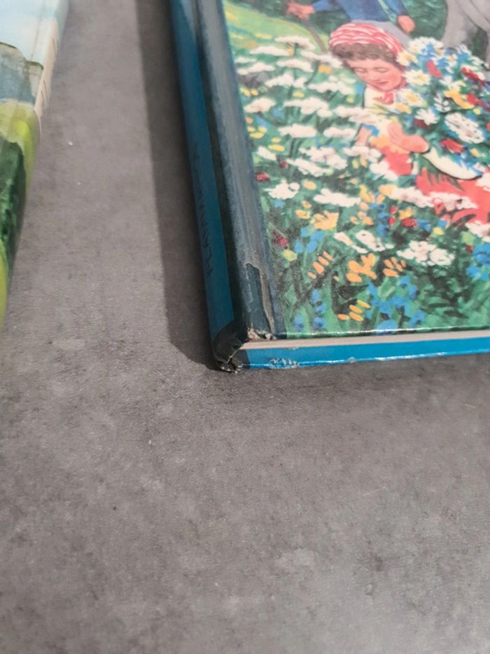 Livre heidi - photo numéro 3