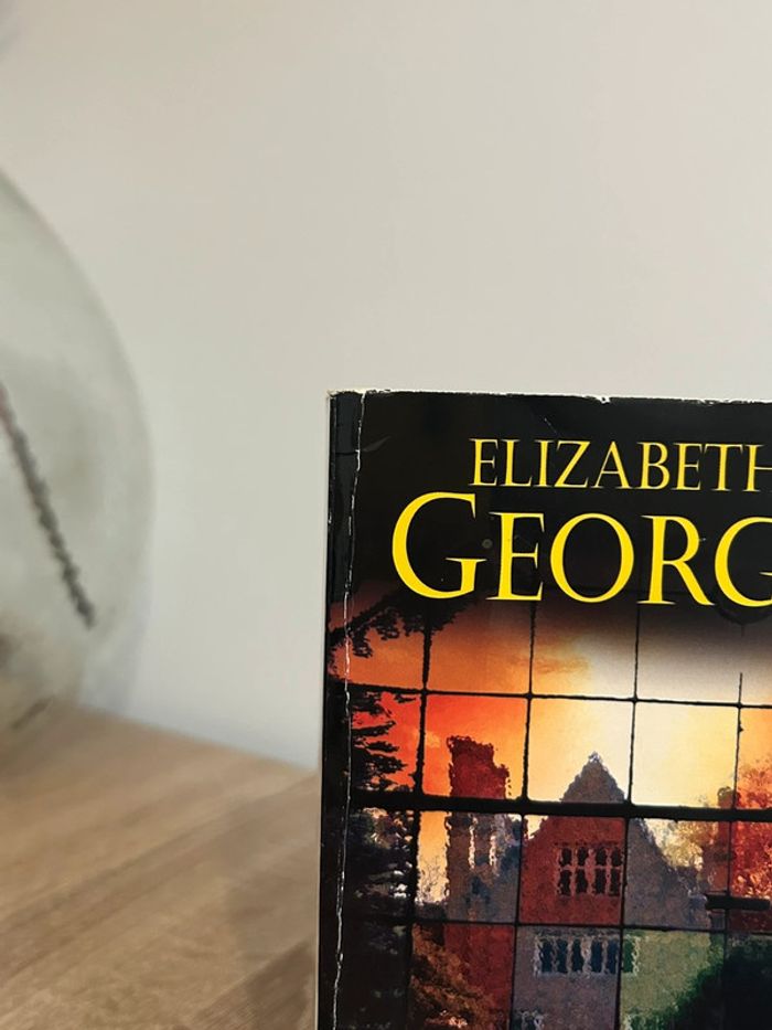 Livre Elizabeth George Mémoire infidèle - photo numéro 6