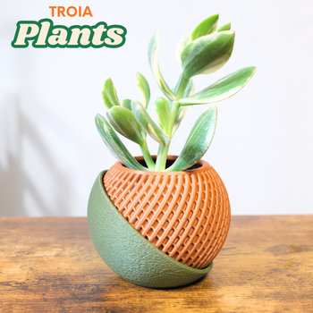 pots de fleurs / jardinières