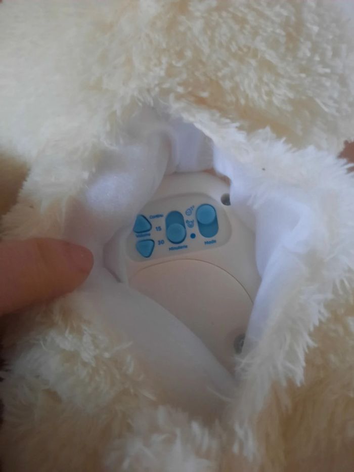 Mon mouton - photo numéro 3