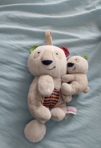 Peluche musicale koala