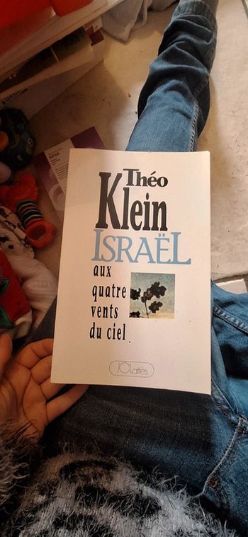 Israël au quatre vent du ciel livre