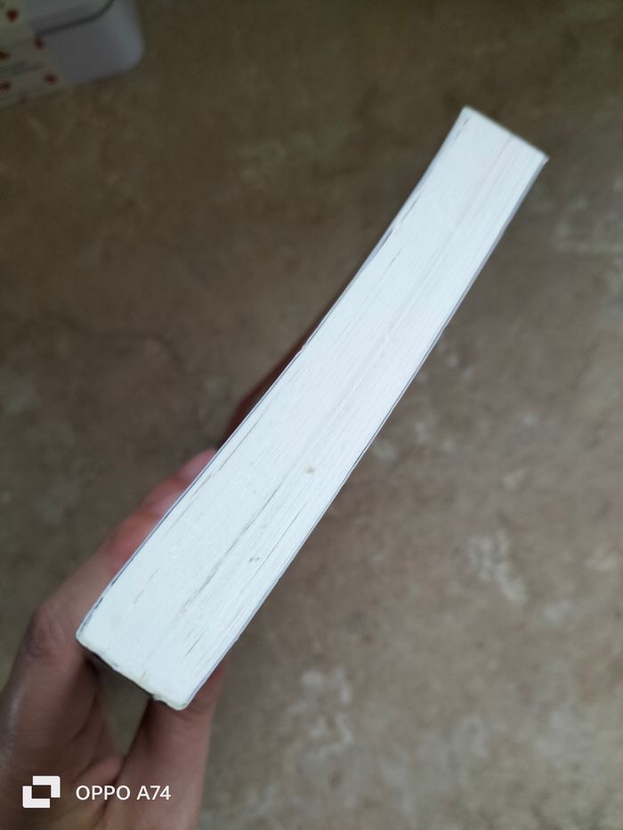 Livre 🧡 Journal d un dégonflé - Carnet de bord de greg - photo numéro 4