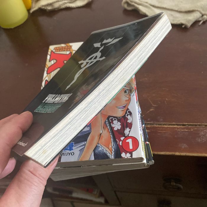 Full metal alchemist volume 2 - photo numéro 4