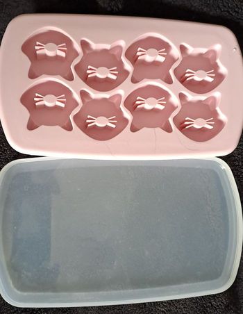 Bac à glaçons chat