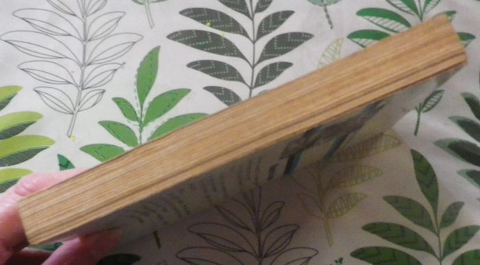 Ici l'infini de Maurice Limat Ed. Fleuve Noir Anticipation - photo numéro 4