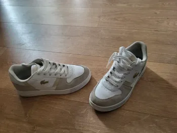 Basket lacoste