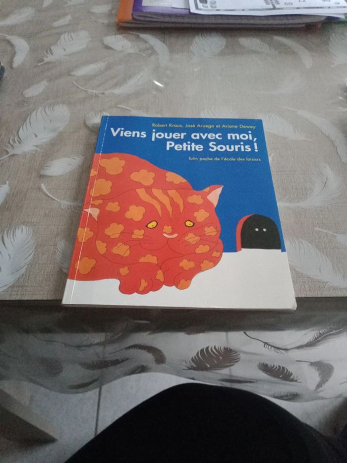 Livre enfant:"Viens jouer avec moi petite souris "