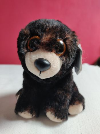 Ours en peluche Ty
