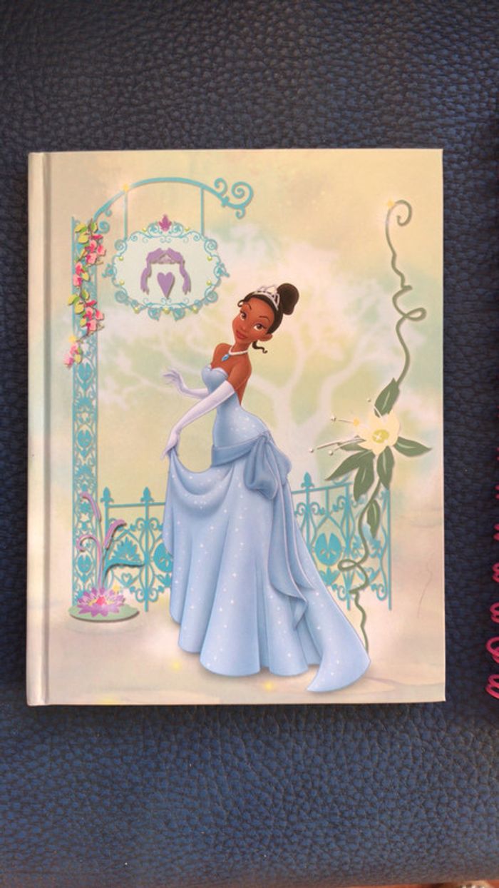 Disney neuf carnet la princesse et la grenouille + carnet ballerine - photo numéro 2