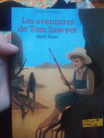 Je vend livre tom swayer
