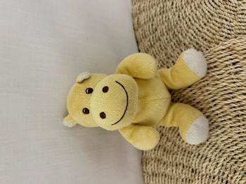 Doudou Hippopotame Bambia