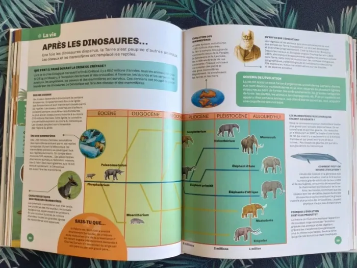 Le grand livre des Pourquoi Comment - photo numéro 5