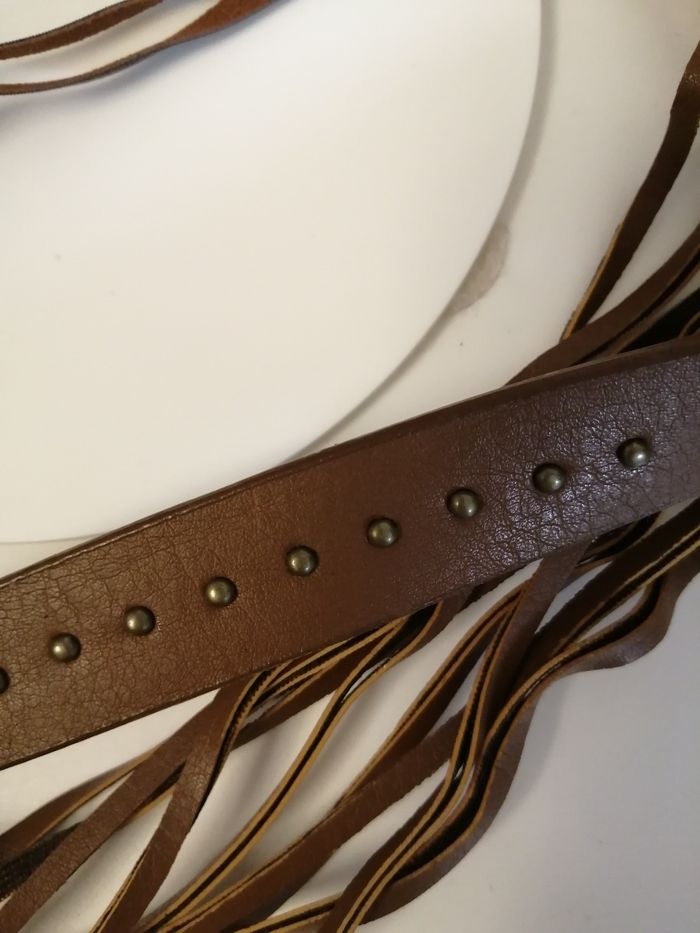 Papillon marron - photo numéro 4