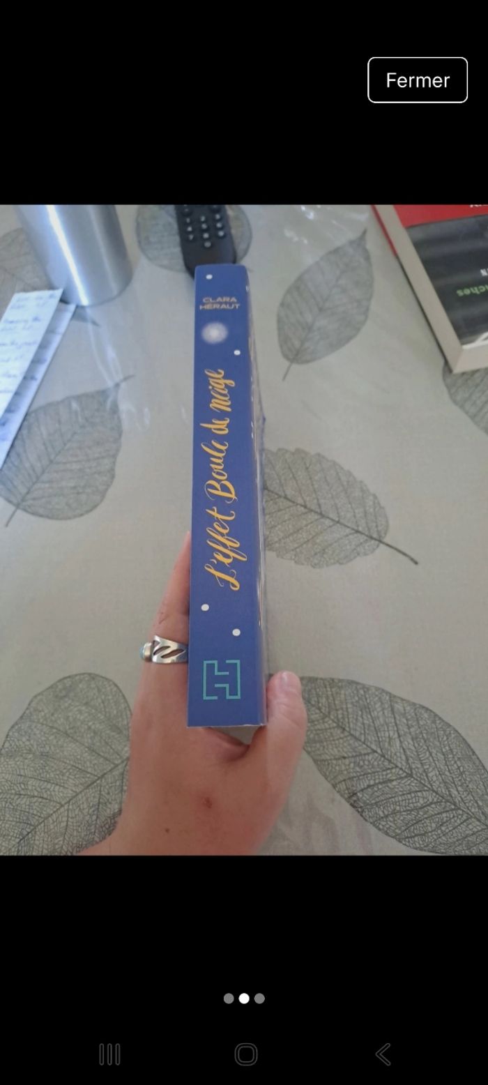 Livre "L'effet boule de neige" - photo numéro 2
