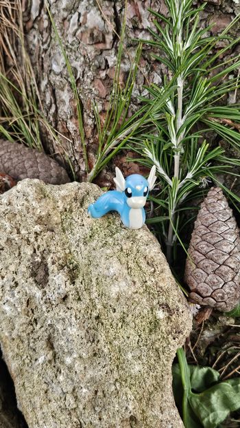 Super figurine Pokemon Nintendo tomy C.G.T.S.J minidraco 