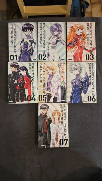 Lot manga neon genesis evangelion perfect édition
