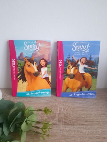 Lot livre Spirit Tome 1 & 2