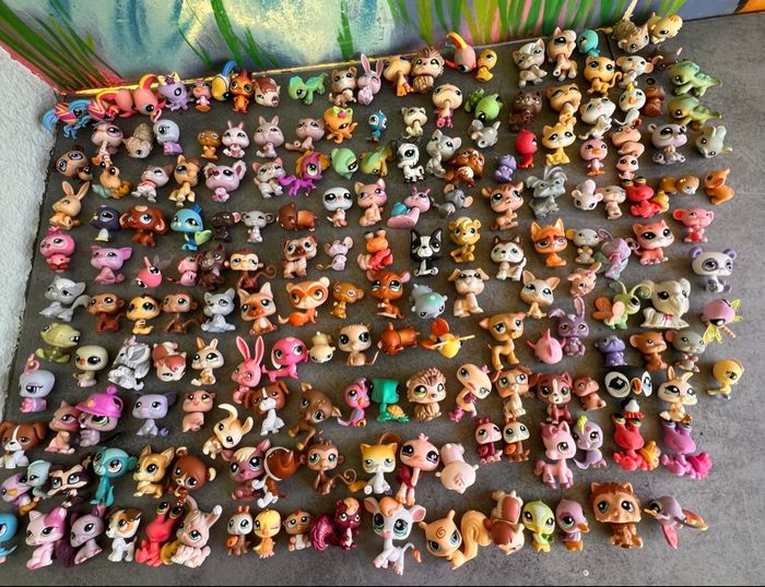 Little Petshop - photo numéro 3