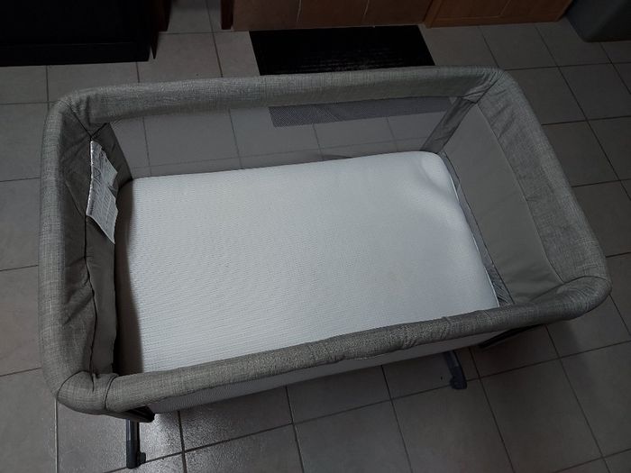 Cododo joie - photo numéro 2