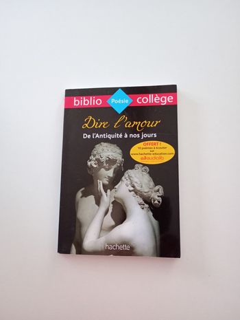 Dire l'amour