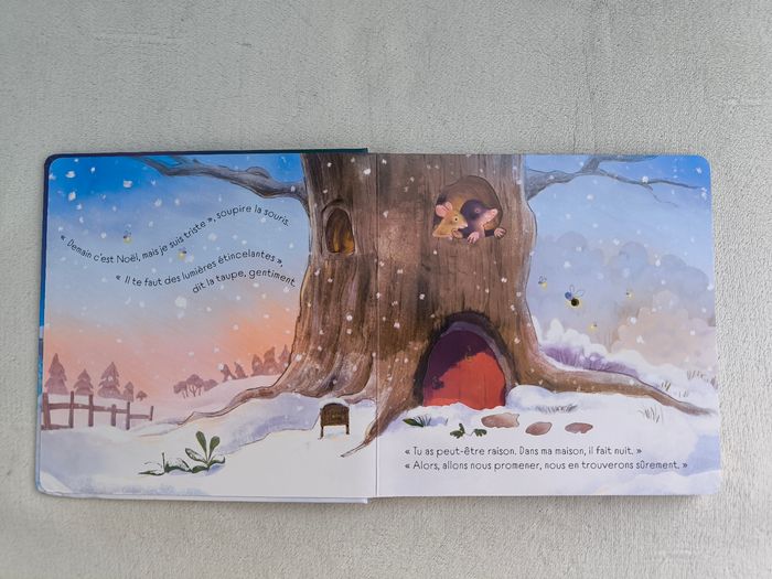 Livre Brille, brille petit sapin de Noël Usborne - photo numéro 4