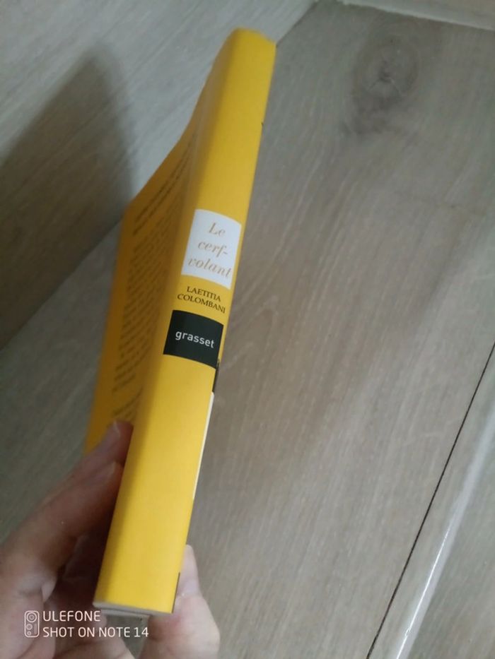 Roman le cerf volant , grand format avec jacquette - photo numéro 3