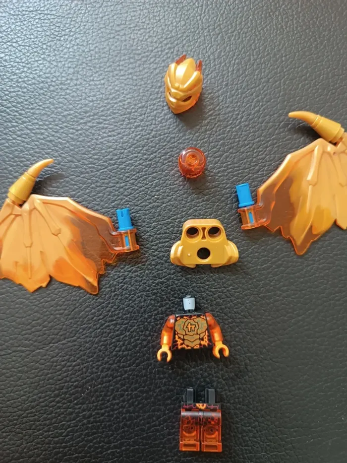 LEGO Ninjago cole - photo numéro 3