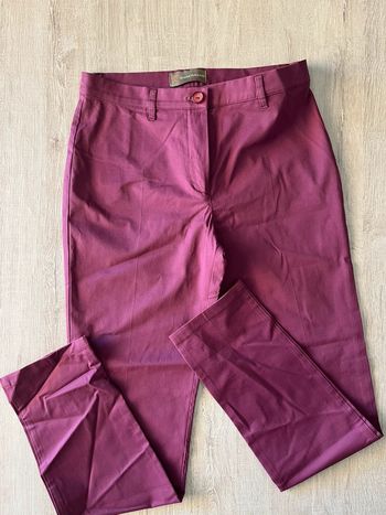 Pantalon violet chic femme Diana Gallesi
