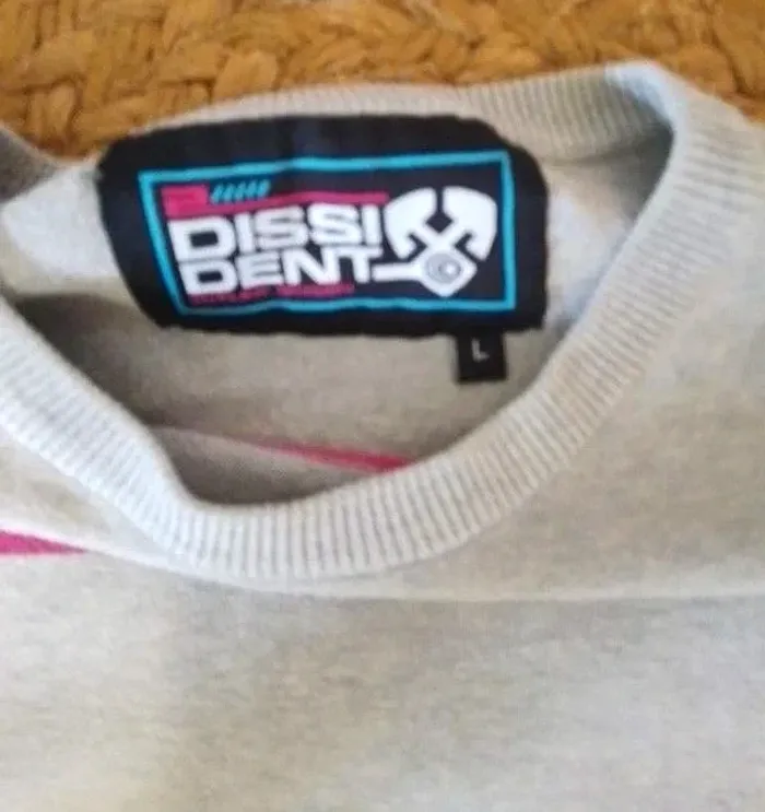 🧥 Pull taille L - 100% coton - dissident - photo numéro 2