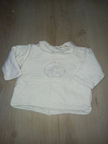 Pull grain de blé 9 mois