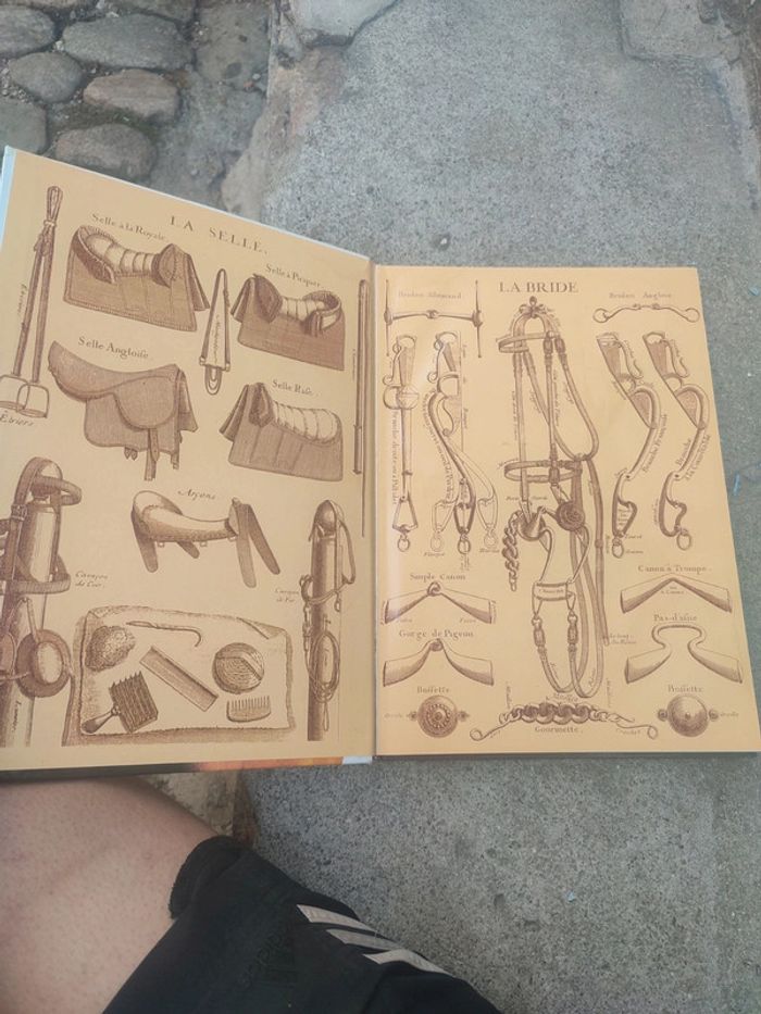 Livre la splendeurs du cheval - photo numéro 6