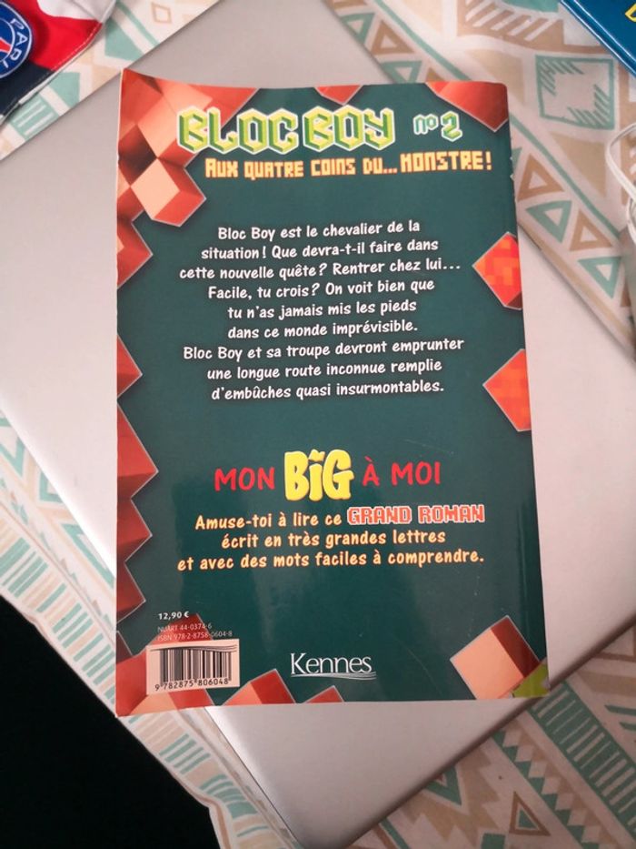 Livre bloc boy - photo numéro 2