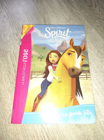 livre spirit la grande fête dreamworks