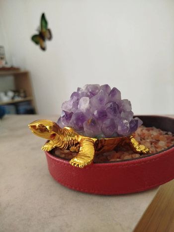 Tortue Royale en Améthyste 💫423g de Sérénité Minérale