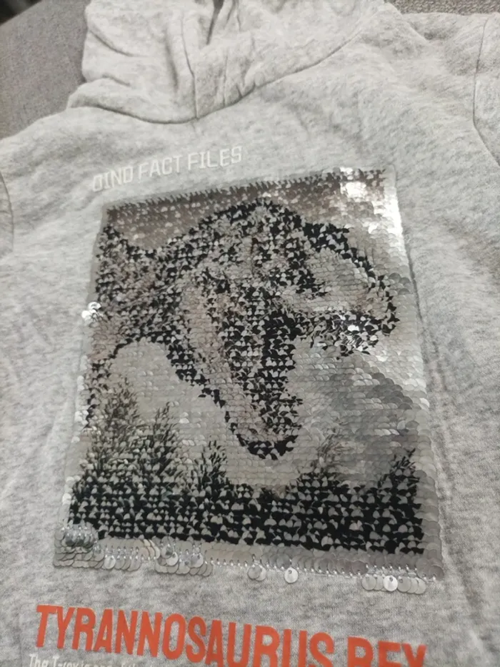 Sweat à capuche - photo numéro 2