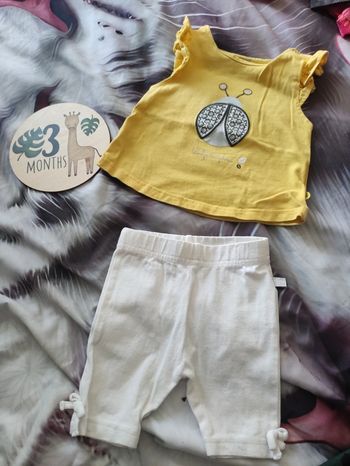 Ensemble t-shirt coccinelle et short 3 mois