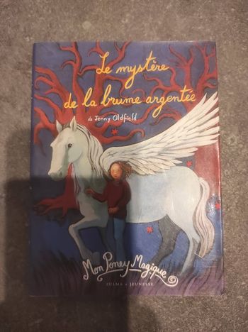 La mystère de la brume argentée Jenny Oldfied Zulma Jeunesse 2007