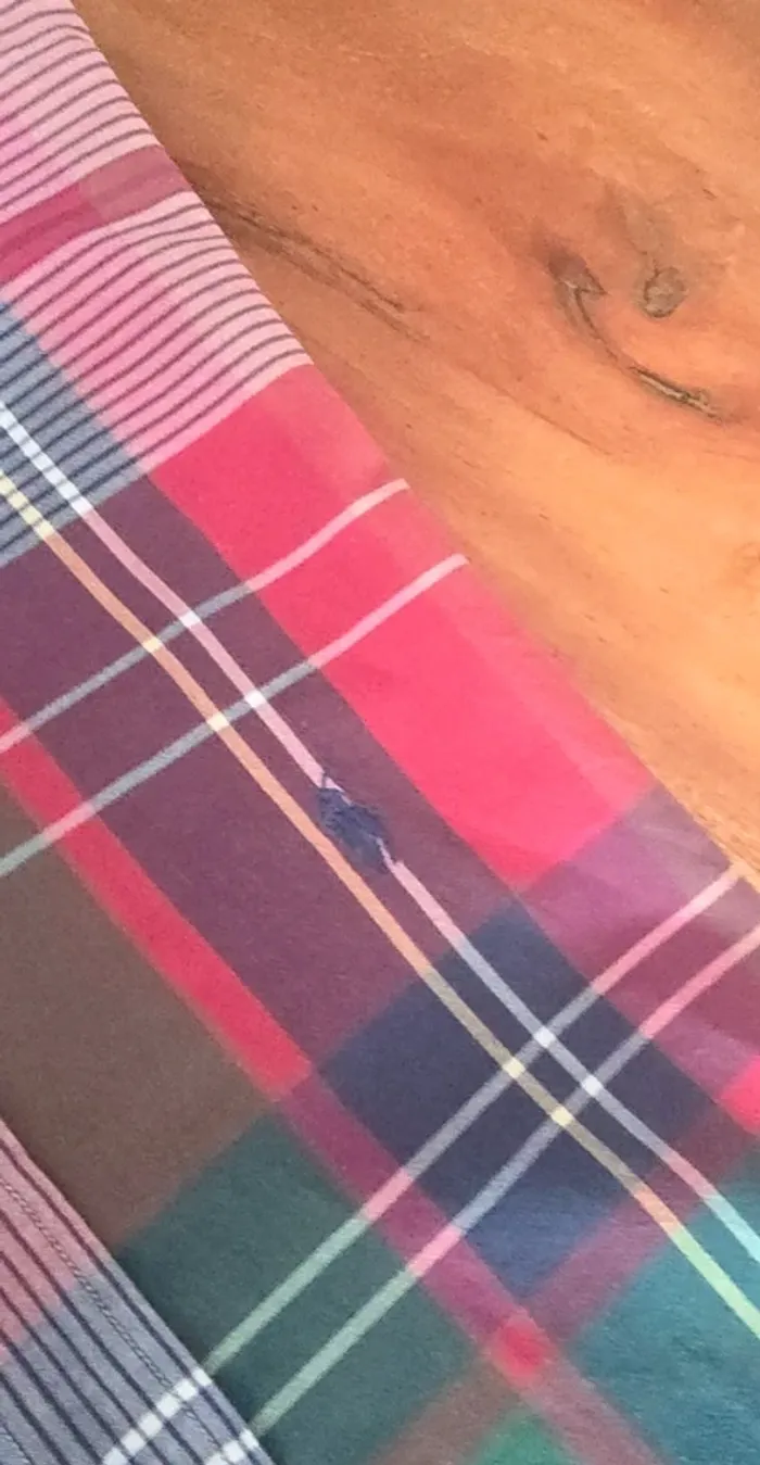 Chemise Ralph Lauren Taille L - photo numéro 3