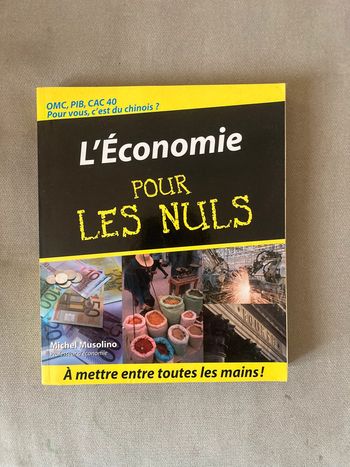 Livre : L'Économie pour les Nuls