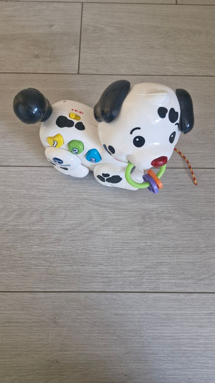 Dalmatien à tirer (sons et lumiere) - photo numéro 3