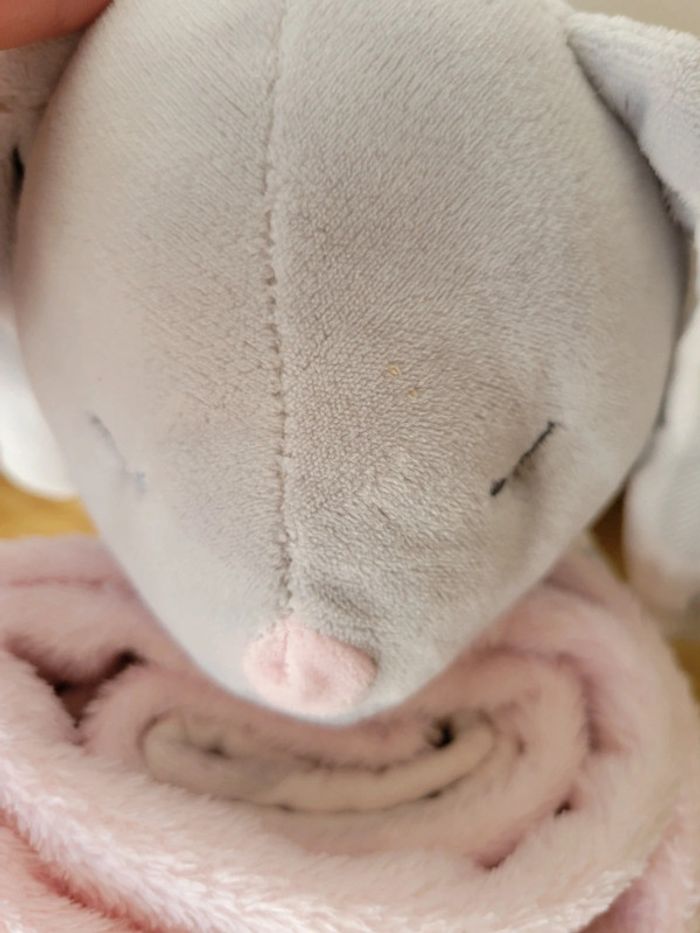 Couverture Plaid + peluche - photo numéro 2