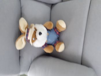 peluche