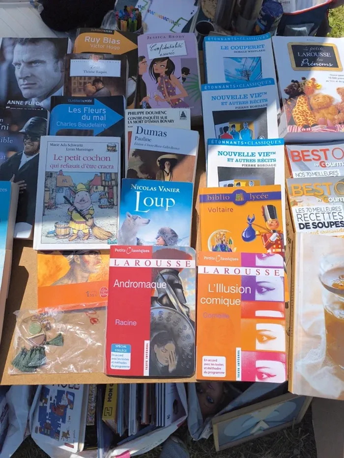 Livres de lecture