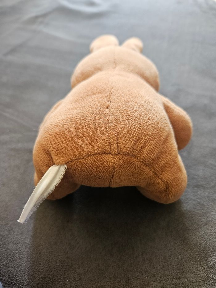 Lapin - photo numéro 4
