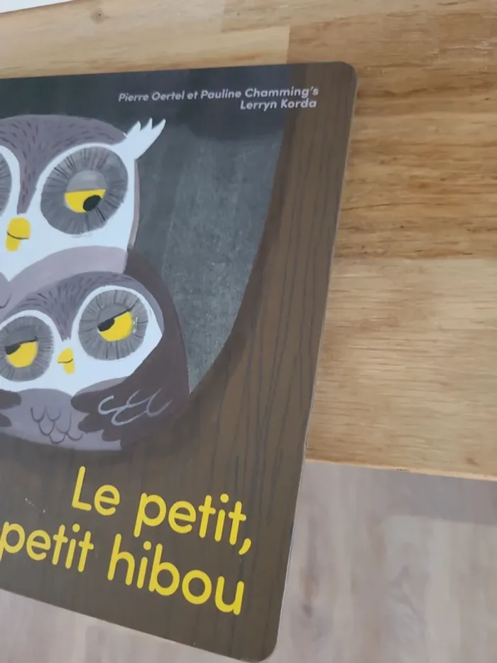 Le petit tout petit hibou - photo numéro 3