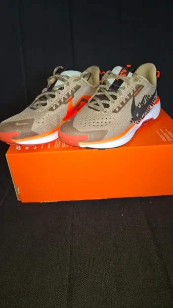 Baskets Nike Pegasus