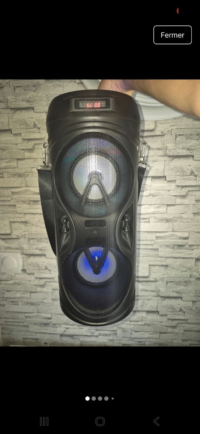 Enceinte