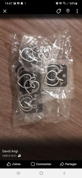 Boucles d'oreilles fantaisie femme forme de cœur