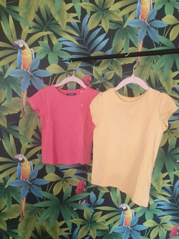 Lot de 2 t-shirts coton